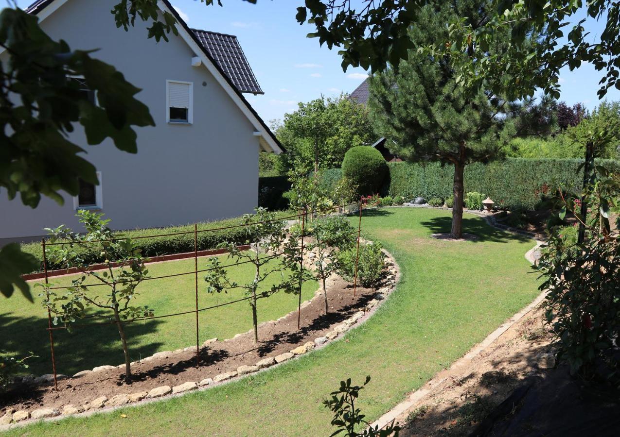 Duft- und Parfümfreie Allergiker-FEWO Mertendorf Exterior foto